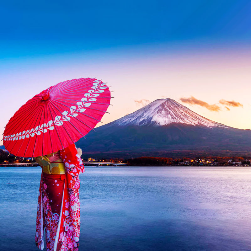 日本定制包车东京包车富士山箱根河口湖大阪京都奈良名古屋一日游-图0