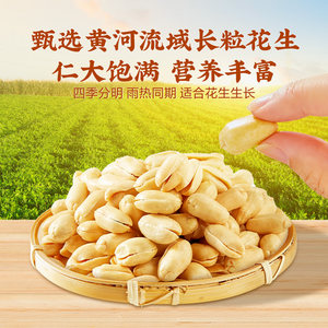 良品铺子椒盐花生300g坚果炒货休闲零食宵夜聚会办公室解馋食品