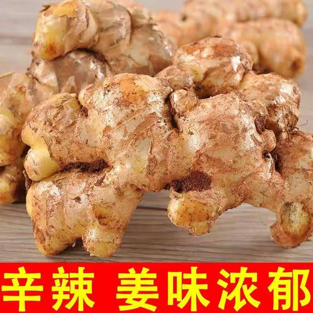 云南正宗小黄姜2025老姜新鲜生姜高山沙姜老姜土姜蔬菜农家自种,淘宝优惠券,粉丝福利购,淘宝优惠卷