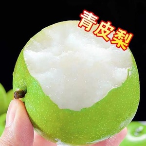 SJ2025新梨子砀山皇冠青梨爆甜脆梨子水梨新鲜薄皮酥梨应季鲜果