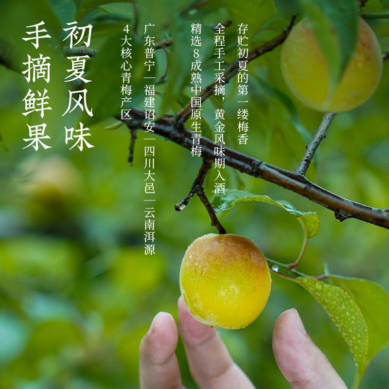 【原果浸泡】梅见青梅酒梅子酒12度750ml*2瓶白梅见果酒礼盒送礼,淘宝优惠券,粉丝福利购,淘宝优惠卷