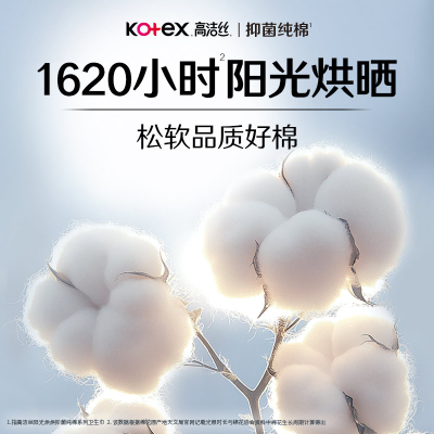 高洁丝日用阳光烘烘抑菌28片