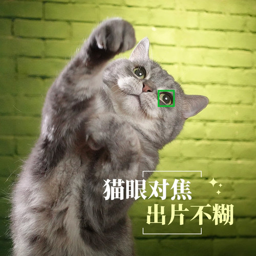 索尼zv1数码相机入门级学生自拍美颜家用旅游vlog视频卡片机 - 图1