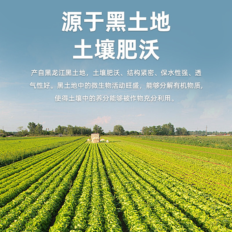 【超级桶】俄式酸黄瓜330g*2瓶酸甜脆爽腌黄瓜沙拉配菜黄瓜罐头,淘宝优惠券,粉丝福利购,淘宝优惠卷