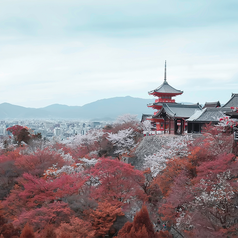 日本·三年多次旅游签证·广州送签·个人旅游3年多次签证高出签优质1V1专业服务可简化资料可加急可常规 - 图3