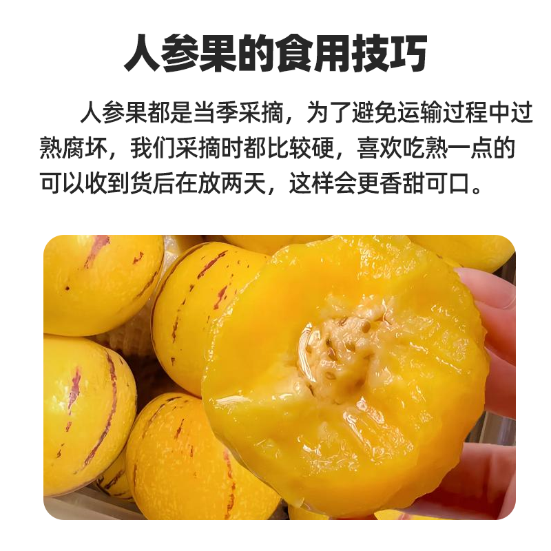 江昊阳正宗云南人参果圆果娃娃果七彩黄肉新鲜水果产地直采,淘宝优惠券,粉丝福利购,淘宝优惠卷