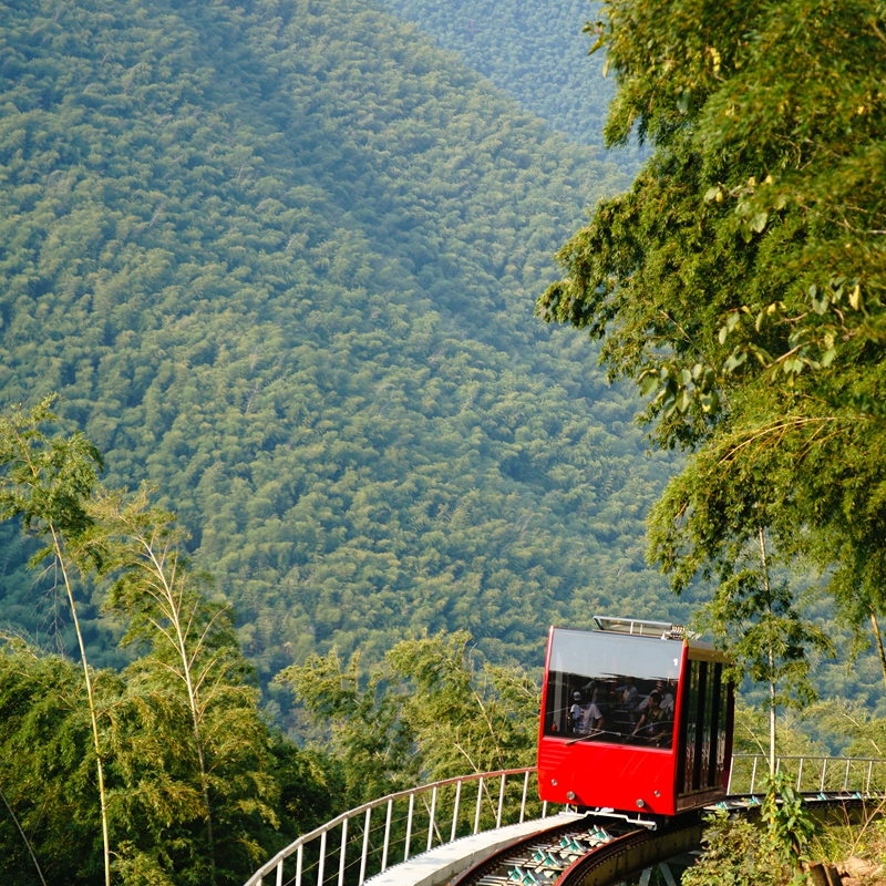 【五一出游季】天目湖格林东方1晚 双人游南山竹海泡涵田半山温泉