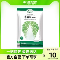 Suo and vegetable seed Huayang 50 Large cabbage seed Vegetable Seed Vegetable Seed 10g-hole seed Summer White Lay