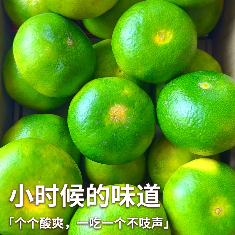 云南蜜橘特早熟桔子新鲜水果当季青皮桔子现摘皮薄整箱酸甜橘