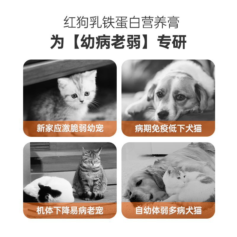 RedDog红狗乳铁蛋白营养膏75g猫咪狗狗宠物提高免疫力牛初乳,淘宝优惠券,粉丝福利购,淘宝优惠卷