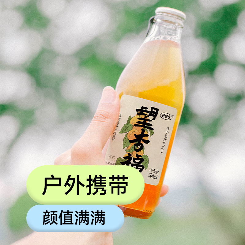 好望水果汁气泡水综合口味礼盒300ml*6果味饮料望山楂汁草本健康 - 图2