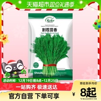 Shou Wo cut stubble with fennel seeds vegetable seed 20g-hole vegetable seed Vegetable Seeds All Season Potted Plant back to fragrant seed