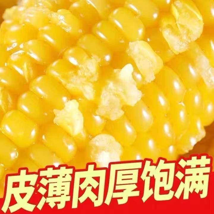 25��10�㿪ʼ�����ڲ�����ʱ�Ӳ���2024�굱�������׷�ת����ճ���׻�Ŵ����200g*8