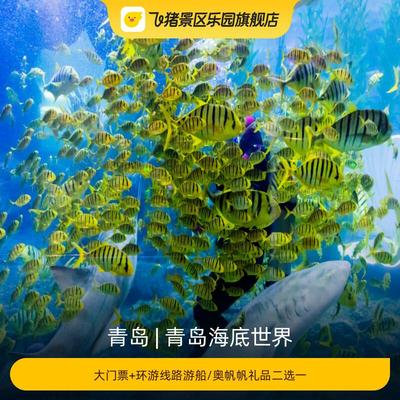 [青岛海底世界-大门票+环游线路游船/奥帆帆礼品二选一]
