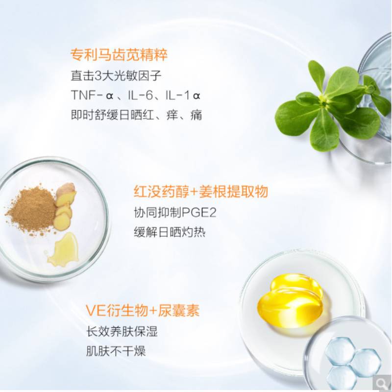 薇诺娜清透防晒乳4支敏感肌面部全身防晒霜温和清爽学生隔离户外