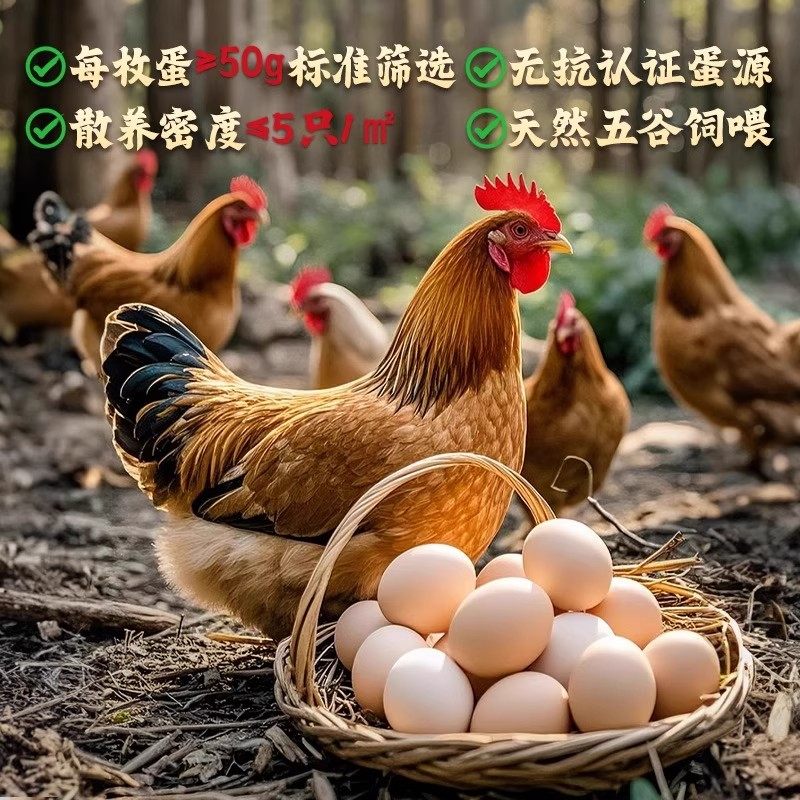 天津蓟州特产五香麻酱鸡蛋真空工艺绿色起沙流油开袋即食健康营养-图2