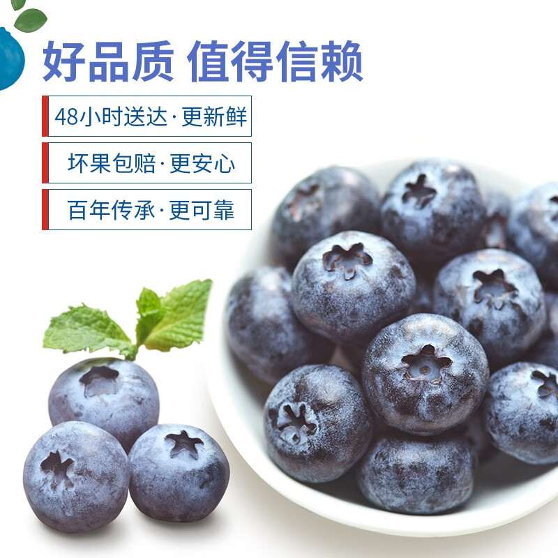 怡颗莓云南蓝莓新鲜水果125g*4盒/6盒酸甜口感 - 图1