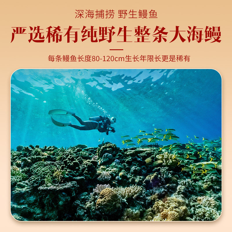【新春年货】倾海之宴庆余年深海大鳗鱼礼盒海捕海鲜干货企业礼品,淘宝优惠券,粉丝福利购,淘宝优惠卷