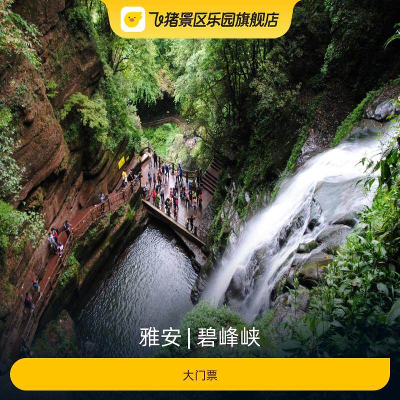 [碧峰峡-门票(含大熊猫基地+大巴车+封闭式电梯)]