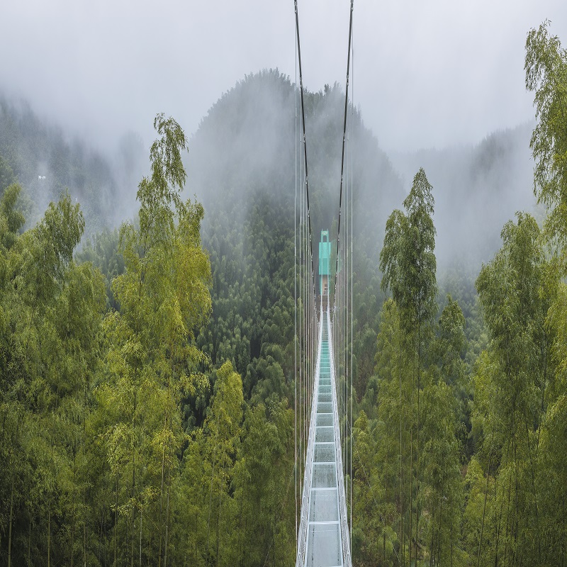 [木坑竹海-大门票]黄山木坑竹海门票 宏村周边景区 - 图3