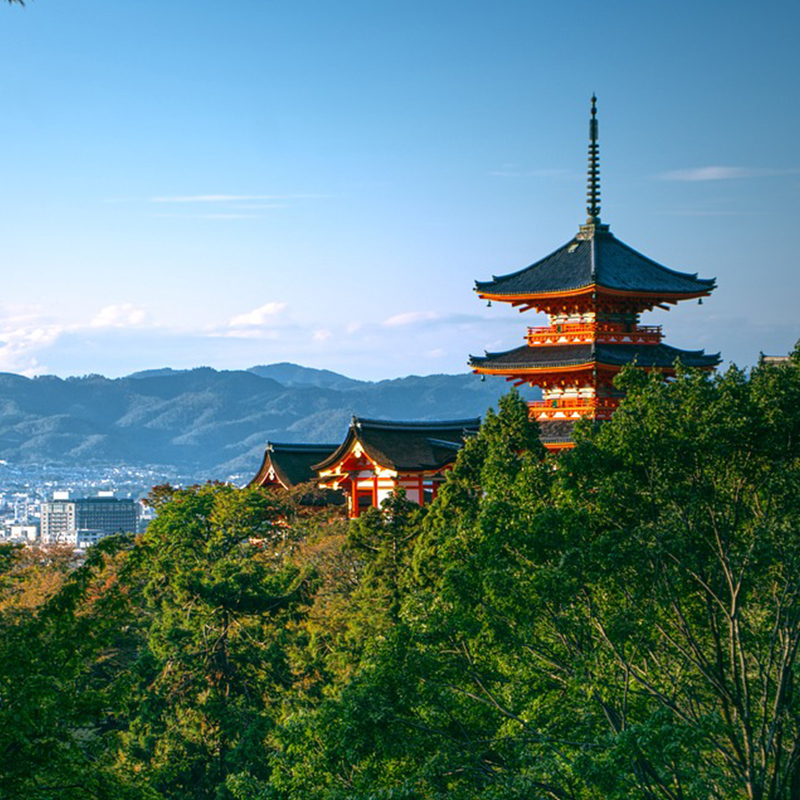 日本·三年多次旅游签证·北京送签·高出签优质服务3年个人旅行旅游签证简化加急 - 图2