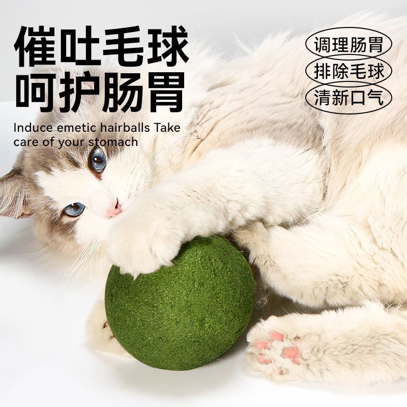 猫玩具猫薄荷球超大自嗨解闷神器猫咪用品大全逗猫棒宠物玩具磨牙 - 图0