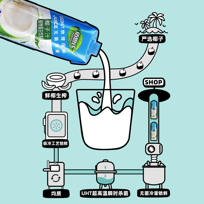 佰恩氏椰子汁植物蛋白饮料1L鲜榨椰汁椰奶网红生椰拿铁果汁-图3