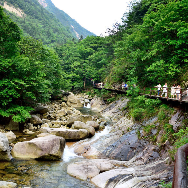 [天堂寨风景区-大门票+景交]安徽天堂寨景区门票+往返景交票 - 图2