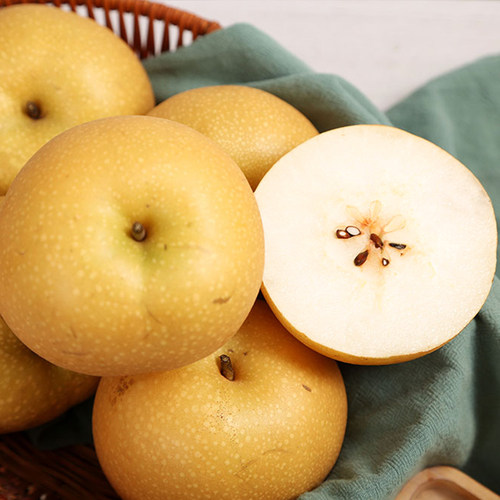 正宗山东秋月梨羊脂冰糖蜜梨当季时令爆汁礼盒莱阳新鲜水果大果 - 图0