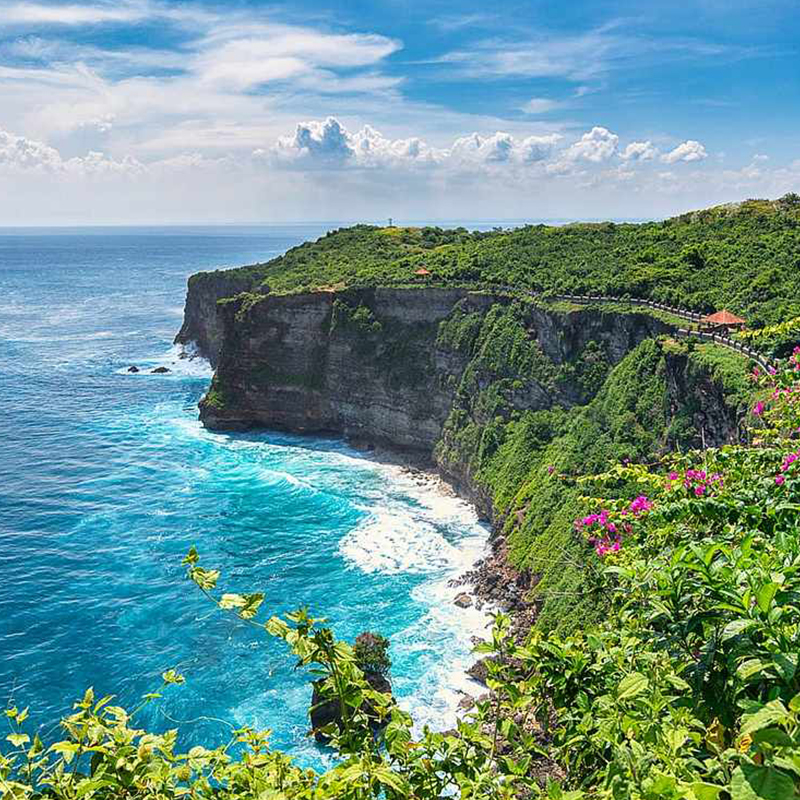 巴厘岛包车一日游 6小时10小时中英文佩尼达火山追海豚舒适包车 - 图2