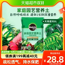 Meletian Sky South Star Coplant Nutrient Soil 8L Cultured Soil Hot Plant Turtle Back Bamboo Indoor Plant Universal Fertilizer