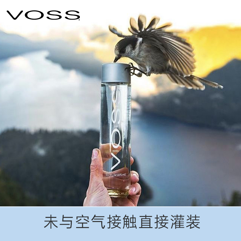 挪威原装进口 芙丝(VOSS)饮用天然泉水（深层自流）375ml*6瓶整箱 - 图3