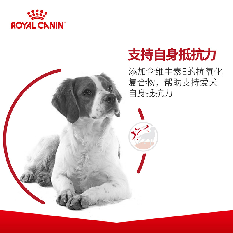 皇家狗粮M25中型犬成犬粮金毛边牧柴犬通用狗主粮官方正品 - 图2