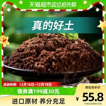 (one) Stanley Nutritional Native flowers Universal home Multi-broccoli Special soil Soil flower soil