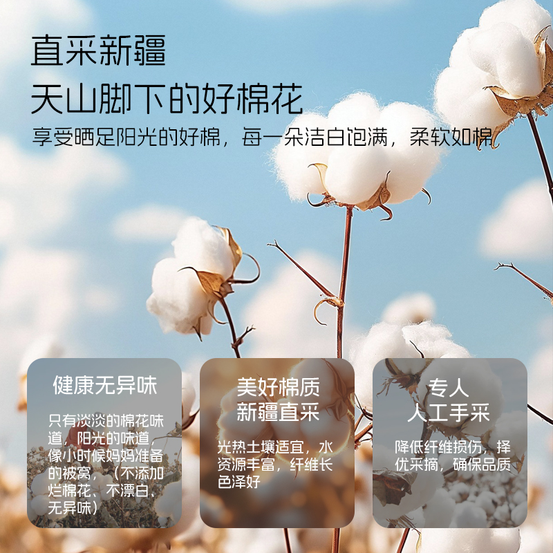 喵满分纯棉棉被水星被子被芯同款被子四季通用春秋夏凉被空调被