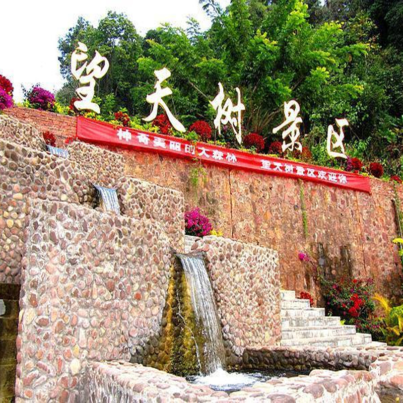[西双版纳热带雨林国家公园望天树景区-门票+单程游船+树冠走廊]二维码入园