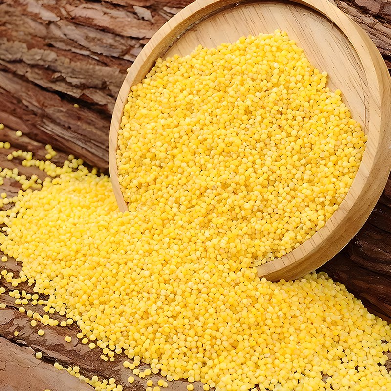 正宗米脂黄小米月子米宝宝米早餐小米粥米批发营养美味小黄米批发