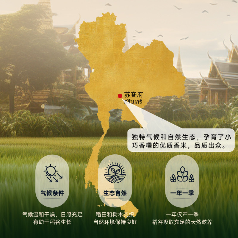 原装进口孟乍隆苏吝府泰国茉莉香米10KG进口20斤泰米长粒大米包邮