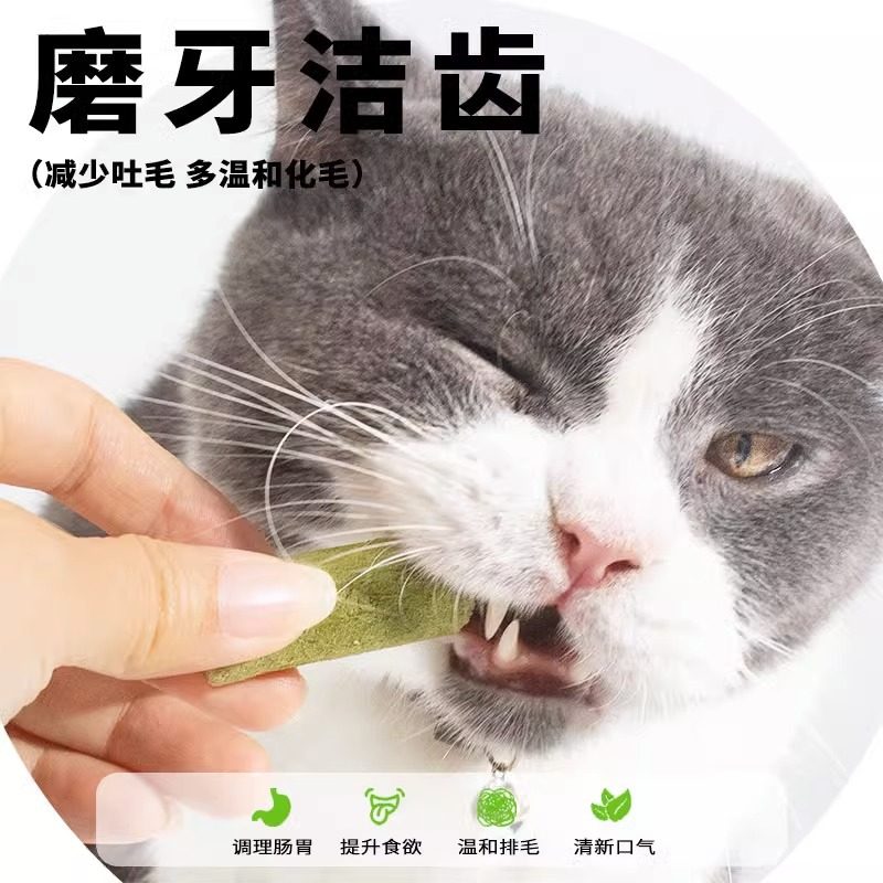 猫草棒猫咪磨牙零食猫草冻干幼猫成猫化毛球排毛猫草片洁齿磨牙棒,淘宝优惠券,粉丝福利购,淘宝优惠卷
