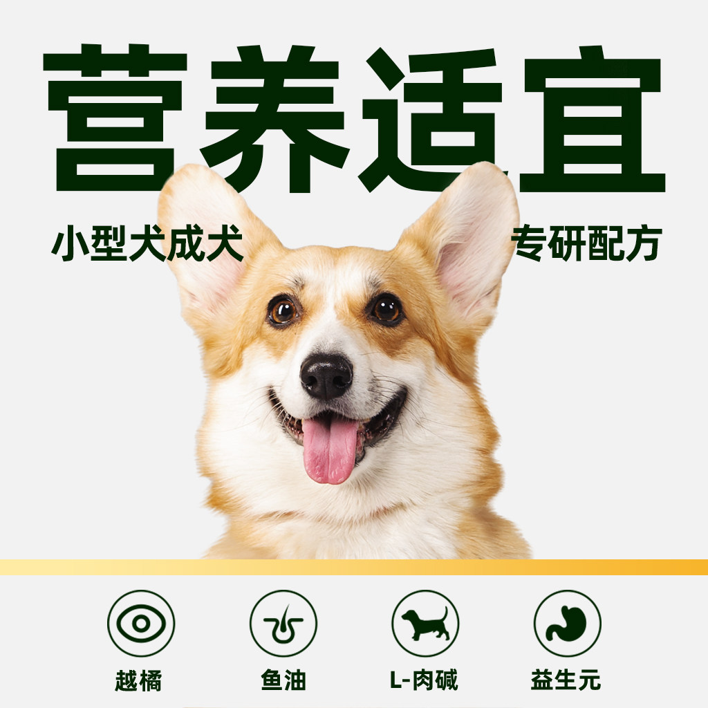 伯纳天纯狗粮经典系列小型犬成犬粮10kg博美法斗比熊泰迪狗粮犬粮
