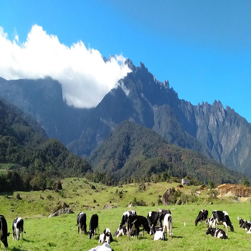 定制旅行 马来西亚旅游6-10天沙巴仙本那亲子家庭游私家团小包团,淘宝优惠券,粉丝福利购,淘宝优惠卷