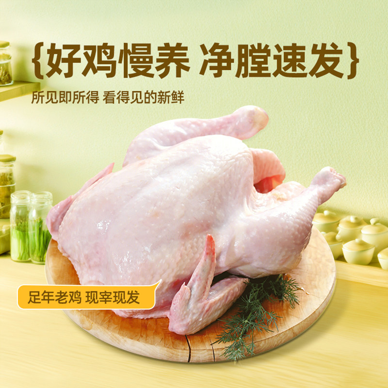 三物纪正宗新鲜皖南黄油老母鸡土鸡土鸡农家整鸡顺丰包邮,淘宝优惠券,粉丝福利购,淘宝优惠卷