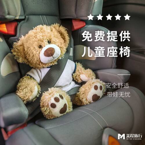 日本接送机旅游东京大阪北海道中文司机关西羽田成田机场接机商务 - 图3