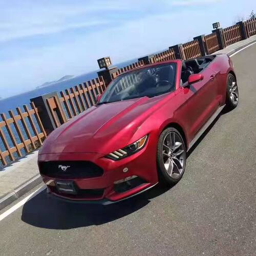 海南三亚海口租车5座7座别克GL8理想特斯拉腾势D9梦想家新能源 - 图3