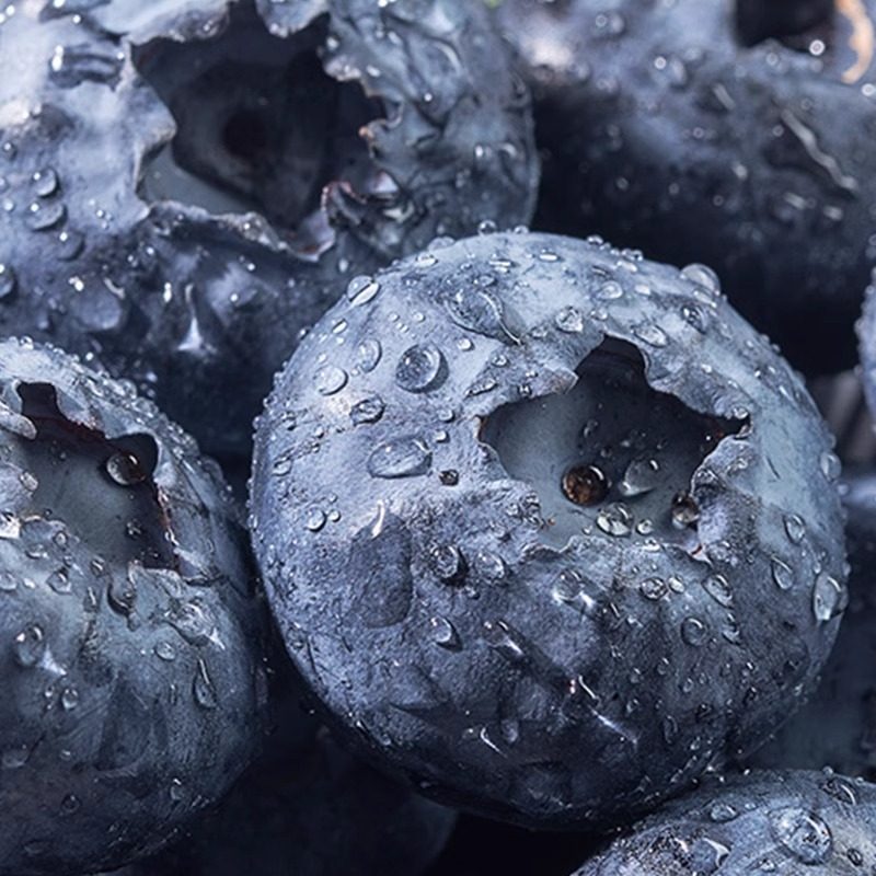 云南高山花香蓝莓头茬鲜果L25特大果怡佳颗沃应当季水果整箱包邮,淘宝优惠券,粉丝福利购,淘宝优惠卷