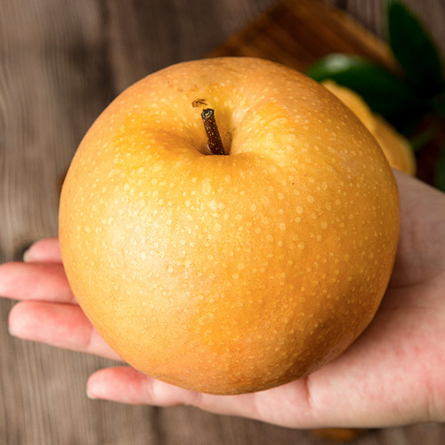 正宗山东秋月梨羊脂冰糖蜜梨当季时令爆汁礼盒莱阳新鲜水果大果 - 图1