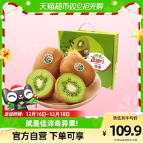 Zespri Jipei New Zealand green chic exotic fruit 16 Chinese fruits single fruit 89-102g Dragon Boat Festival fruit gift box