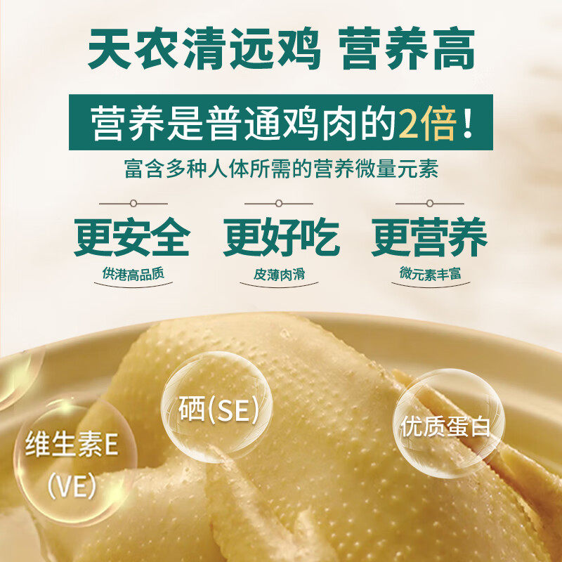 天农清远鸡168天散养走地鸡谷饲土鸡供港整鸡山林走地鸡母鸡新鲜,淘宝优惠券,粉丝福利购,淘宝优惠卷