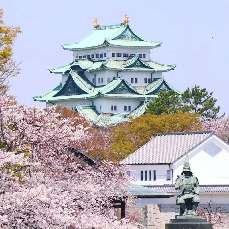 名古屋中部机场接机送机名古屋机场接机送机名古屋京都大阪接送-图0