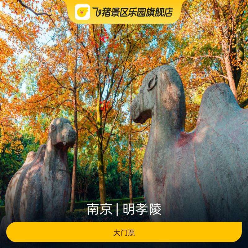 [明孝陵-大门票]